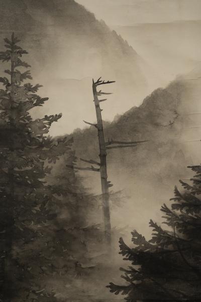 Scroll Soaring Birds in Mountain Landscape