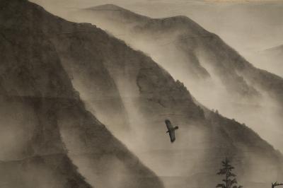 Scroll Soaring Birds in Mountain Landscape