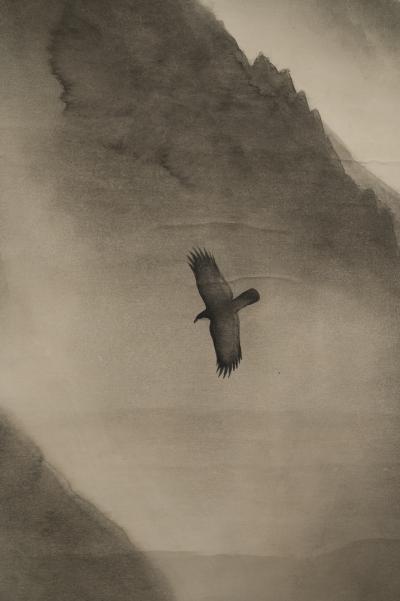 Scroll Soaring Birds in Mountain Landscape