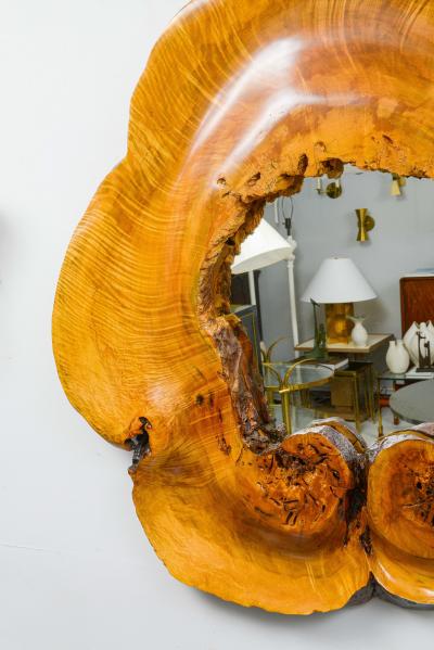Sculptural Bespoke Mirror