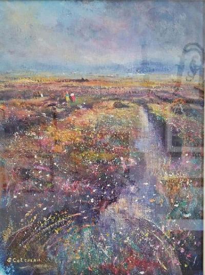 Seamus Coleman Irish Oil on Canvas of Clifden Bog by Seamus Coleman