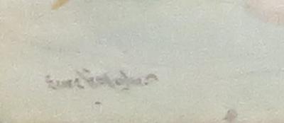 Sears Gallagher Fishing New Hampshire 