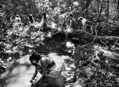 Sebasti o Salgado Marubo Village of Maronal Valley of Javari Indigenous Territory Brazil