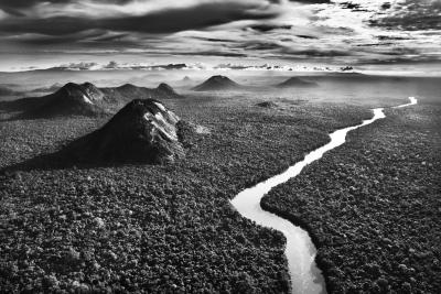 Sebasti o Salgado The Demini River Serra do Araca Park State of Amazonas Brazil