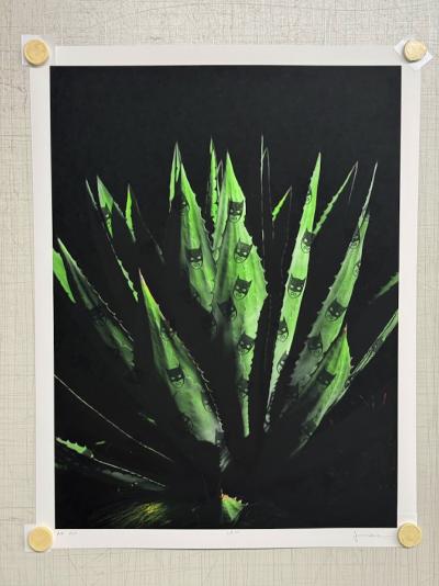 Sebastian Magnani LA11