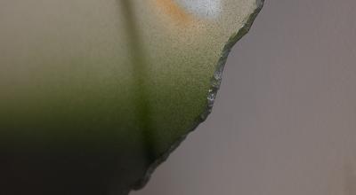 Sebastien Reese Green Diamond mirror