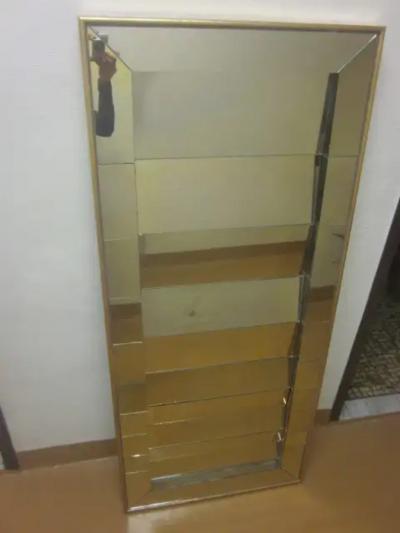 Serge Roche Two Large French Midcentury Venetian Style Mirrors in the Style of Serge Roche