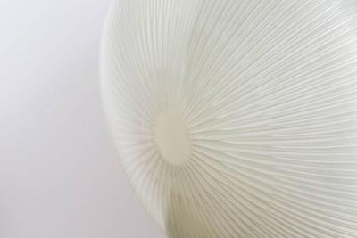 Sergio Mazza 1960s Sergio Mazza Sigma Wall or Ceiling Lights for Artemide 1960s