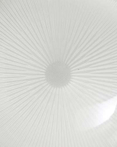 Sergio Mazza Ceiling Light in the Style of Sergio Mazza Italy c 1950