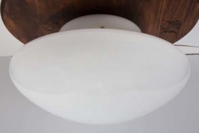 Sergio Mazza Large Sergio Mazza Magnolia Ceiling Lamp for Quattrifolio circa 1971