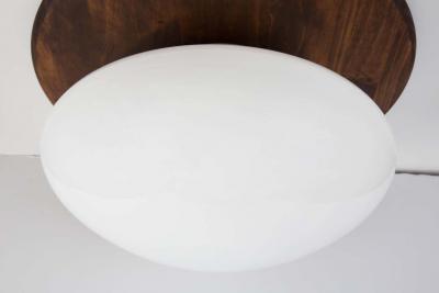 Sergio Mazza Large Sergio Mazza Magnolia Ceiling Lamp for Quattrifolio circa 1971