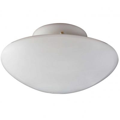Sergio Mazza Large Sergio Mazza Magnolia Ceiling Lamp for Quattrifolio circa 1971