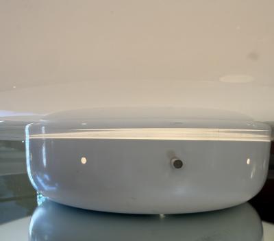 Sergio Mazza Magnolia Opaline Lamp by Sergio Mazza for Quattrifoglio 1970s