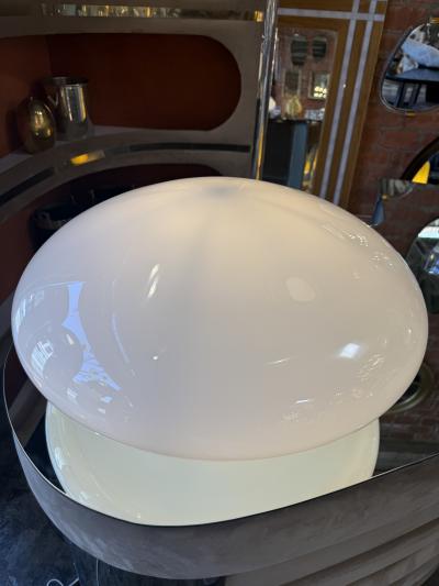 Sergio Mazza Magnolia Opaline Lamp by Sergio Mazza for Quattrifoglio 1970s