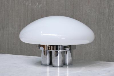 Sergio Mazza Sergio Mazza Giuliana Gramigna Magnolia Table Lamp for Quattrifolio 1973