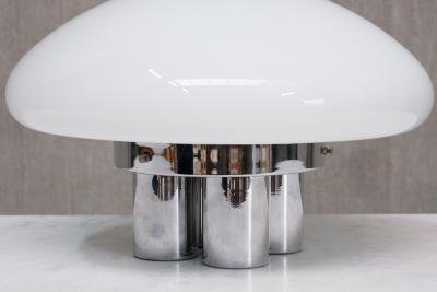 Sergio Mazza Sergio Mazza Giuliana Gramigna Magnolia Table Lamp for Quattrifolio 1973