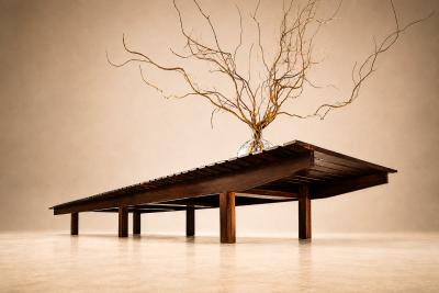 Sergio Rodrigues Sergio Rodrigues Brazilian Modern 1958 Mucki bench in Rosewood