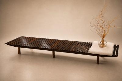 Sergio Rodrigues Sergio Rodrigues Brazilian Modern 1958 Mucki bench in Rosewood