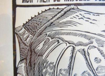 Sergio Sanchez Santamaria Rinocerontes Wood Engraving by Sergio Sanchez Santamaria Homage to Durer