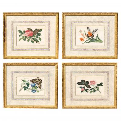 Set Of Four Chinese Export Framed Pith Paper Watercolors Of Plants And Insects