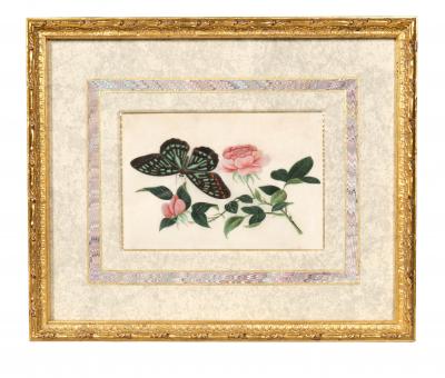 Set Of Four Chinese Export Framed Pith Paper Watercolors Of Plants And Insects