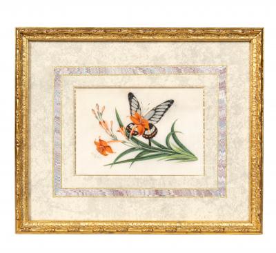 Set Of Four Chinese Export Framed Pith Paper Watercolors Of Plants And Insects