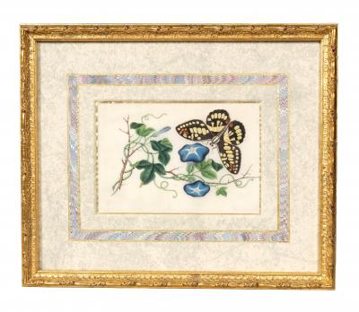 Set Of Four Chinese Export Framed Pith Paper Watercolors Of Plants And Insects