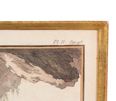 Set Of Four Engravings Of African Animals