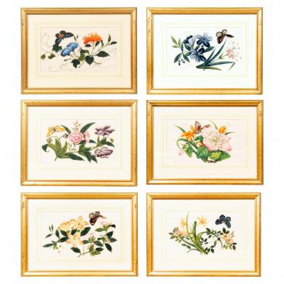 Set Of Six Chinese Export Framed Pith Paper Watercolor Botanicals