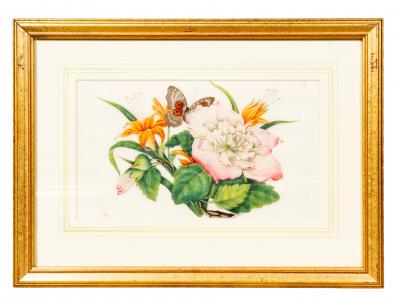 Set Of Six Chinese Export Framed Pith Paper Watercolor Botanicals