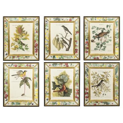 Set Of Six Framed Ornithological Prints