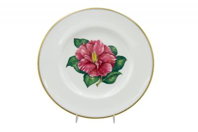 Set of 12 English Victorian Floral Worcester Plates