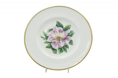 Set of 12 English Victorian Floral Worcester Plates