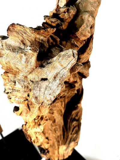Set of 3 Abstract Driftwood Sculptures XXX