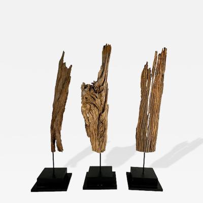Set of 3 Abstract Driftwood Sculptures XXX