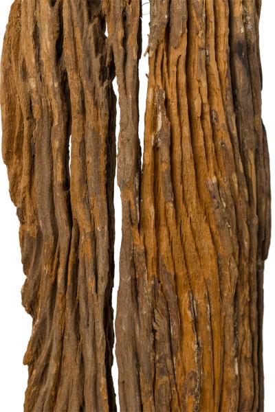 Set of 3 Contemporary American Abstract Driftwood Sculptures