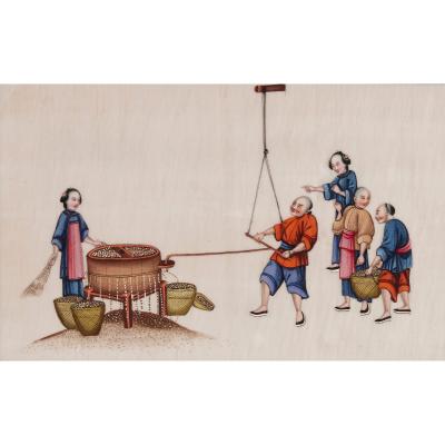Set of Antique Chinese pith paintings depicting tea production