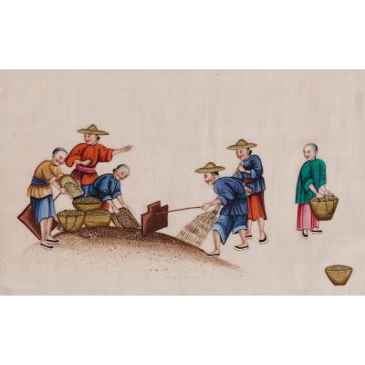 Set of Antique Chinese pith paintings depicting tea production