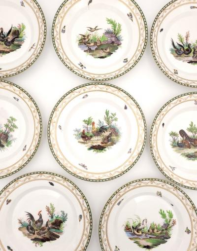 Set of Eight KPM Bird Plates Germany circa 1870