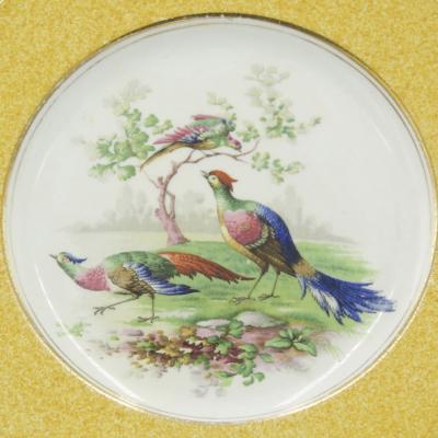 Set of English Victorian Wedgwood Porcelain Plates