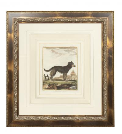 Set of Four Hand Colored Engravings of Dogs