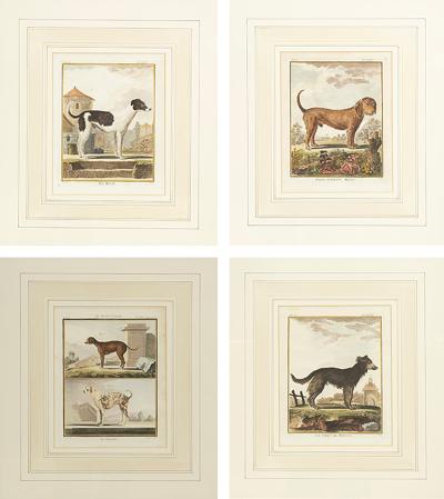 Set of Four Hand Colored Engravings of Dogs