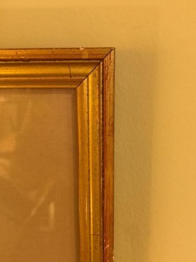 Set of Seven Botanical Prints of Fruit Signed Peter Drafet