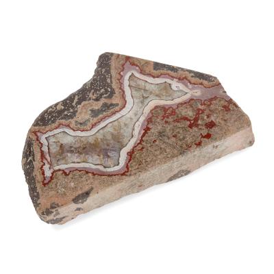 Set of pink amethyst agate fossilised ammonite and coral fossil