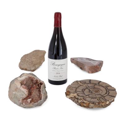 Set of pink amethyst agate fossilised ammonite and coral fossil