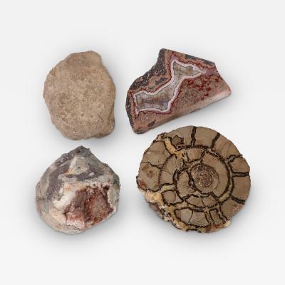 Set of pink amethyst agate fossilised ammonite and coral fossil