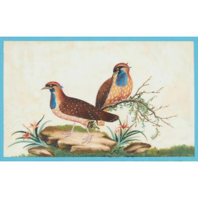 Set of six antique Chinese pith paper watercolours of birds