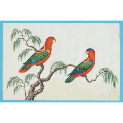 Set of six antique Chinese pith paper watercolours of birds