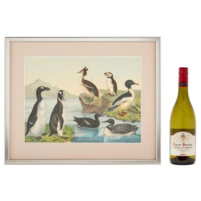 Set of six framed Continental 20th century bird prints