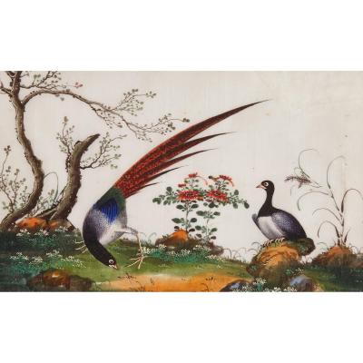 Set of twelve antique Chinese painted bird studies on pith paper